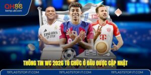 Thông tin WC 2026 tổ chức ở đâu được cập nhật